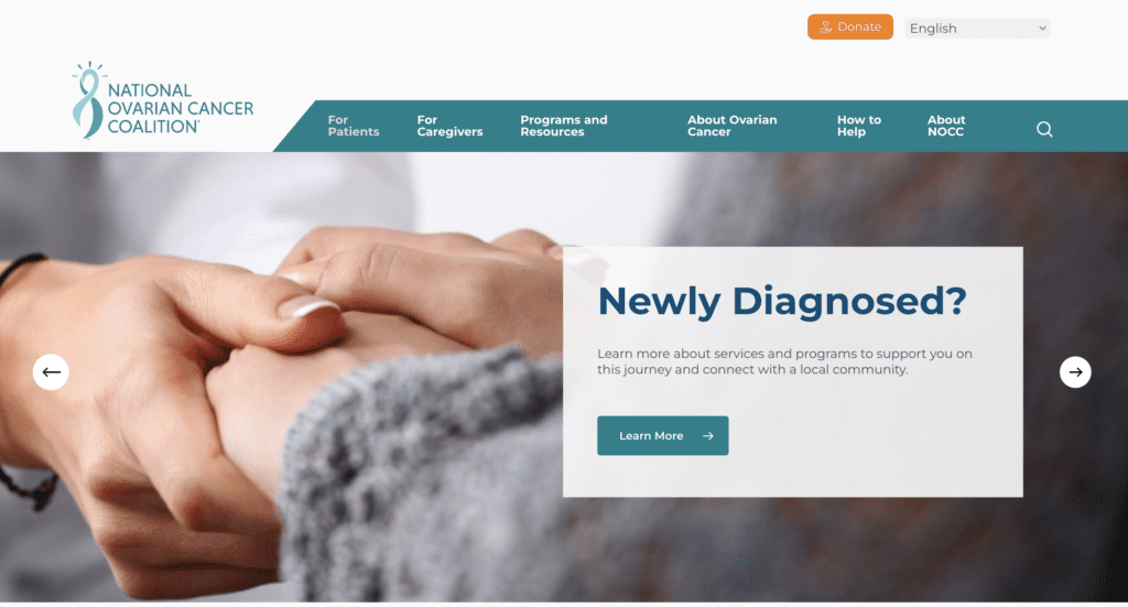 The Best Ovarian Cancer Charity Organizations: Support Patients, Fund ...